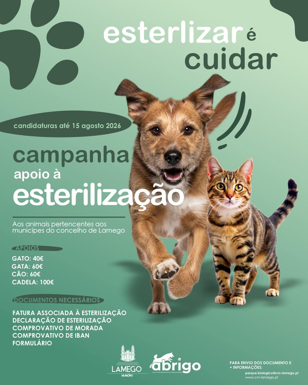 Fundo